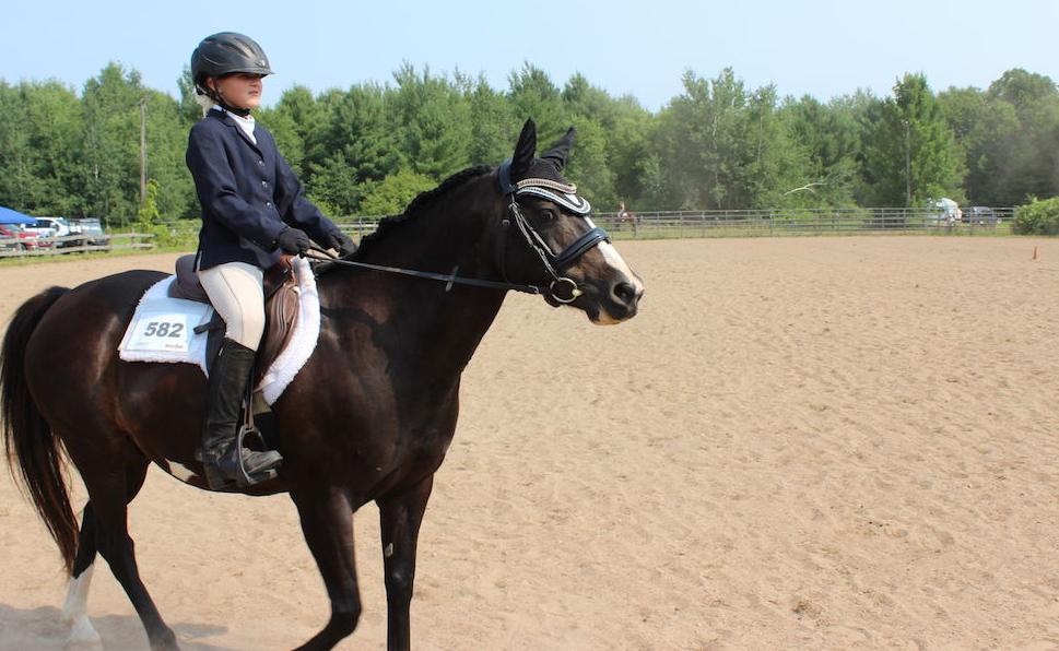 Saddle Club show